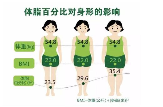 第53天 - 体脂含量百分比 商品图0