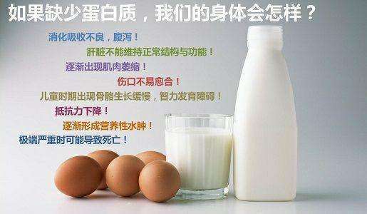 第94天 - 蛋白质缺乏的症状 商品图0