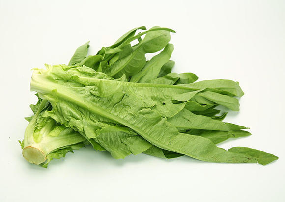商品详情 油麦菜的营养价值略高于生菜,而远远优于莴笋.