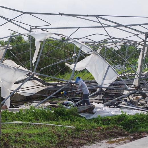 灾后消费筹款 | 生态粮食年份额 商品图3