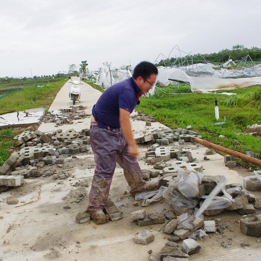 灾后消费筹款 | 粮食年份额 商品图0