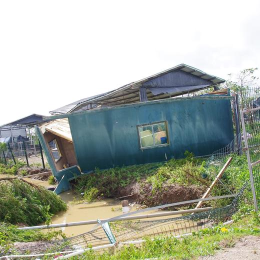 灾后消费筹款 | 粮食年份额 商品图1