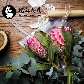 帝王和公主花