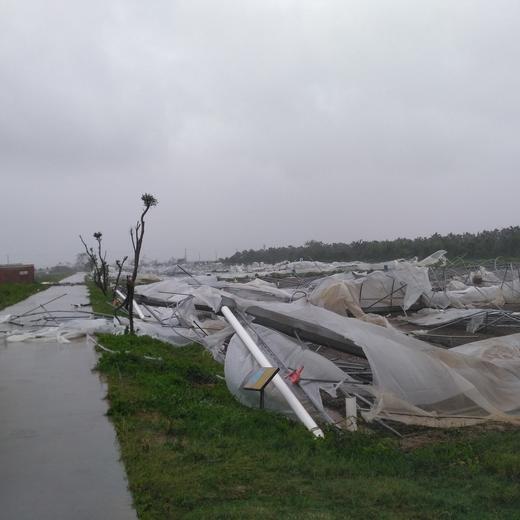 灾后消费筹款 | 生态粮食年份额 商品图1