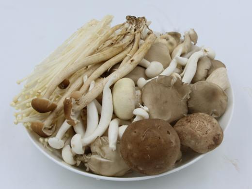 100杂菇约250克／份 商品图0