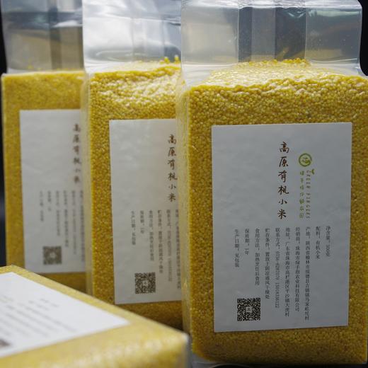 灾后消费筹款 | 生态粮食年份额 商品图8