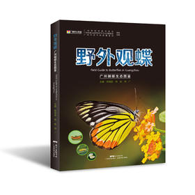 野外观蝶 广州蝴蝶生态图鉴 陈锡昌 杨骏 刘广主编