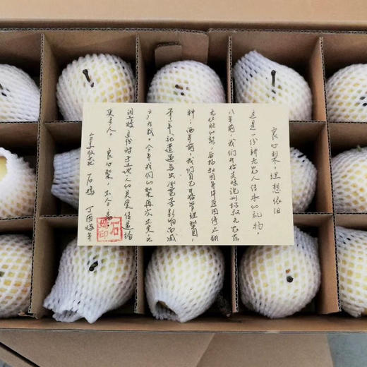 合作生产 | 师姐的良心梨 商品图3