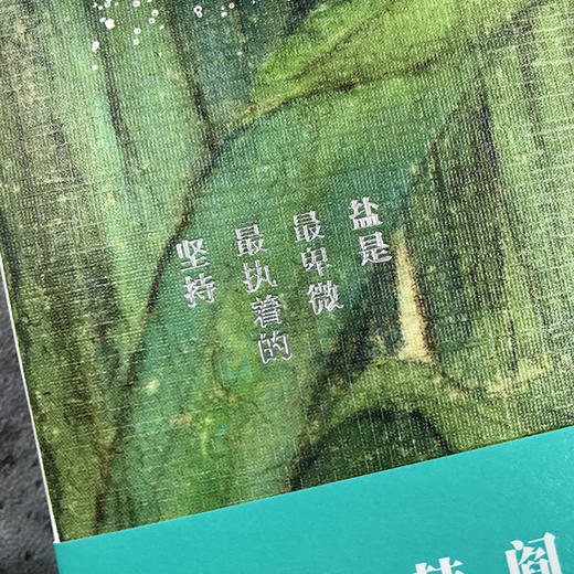 《盐》我没有尝过大地的盐，也没有尝过大海的盐。我原以为自己就是大地的盐，也曾害怕会失去自己的咸味。 ——安德烈·纪德《人间食粮》 商品图5