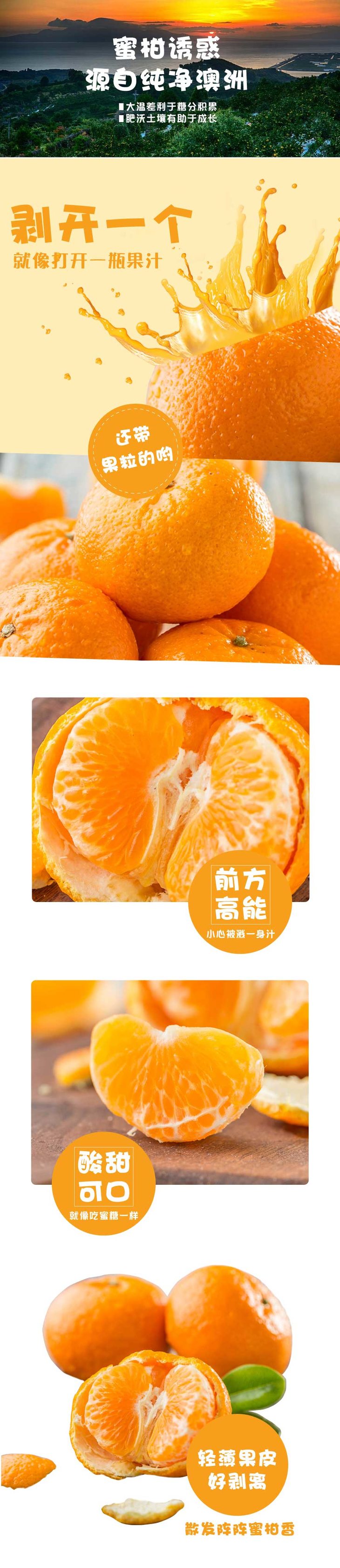 南非柑 10.5元/斤