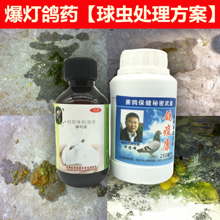 商品详情 【功能主治】 针对原发性的球虫病感染,对球虫引起的鸽精神