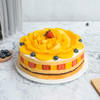 【新品上市】光芒- 2磅/198元 3磅/248元 4磅/288  水果蛋糕，鲜芒暖心水果（高州） 商品缩略图2
