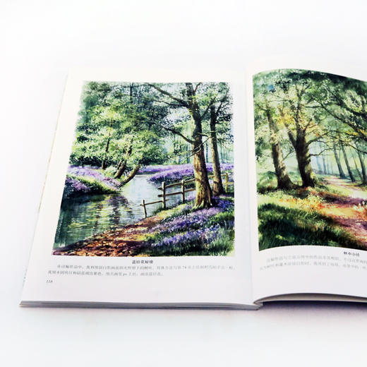 特里•哈里森的水彩课Ⅱ：描绘风景画的诀窍 商品图2