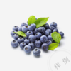 蓝莓-序号5 商品缩略图0