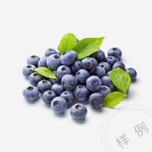 蓝莓-序号5 商品图0