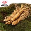 康美新鲜人参 35g*2根【佳选级】 顺丰包邮煲汤泡酒 商品缩略图2