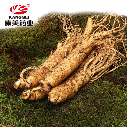 康美新鲜人参 35g*2根【佳选级】 顺丰包邮煲汤泡酒 商品图2