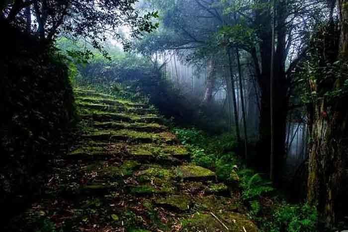 这是一条宁静而悠远的宋代古道, 连接着四明山山下和山顶的村落