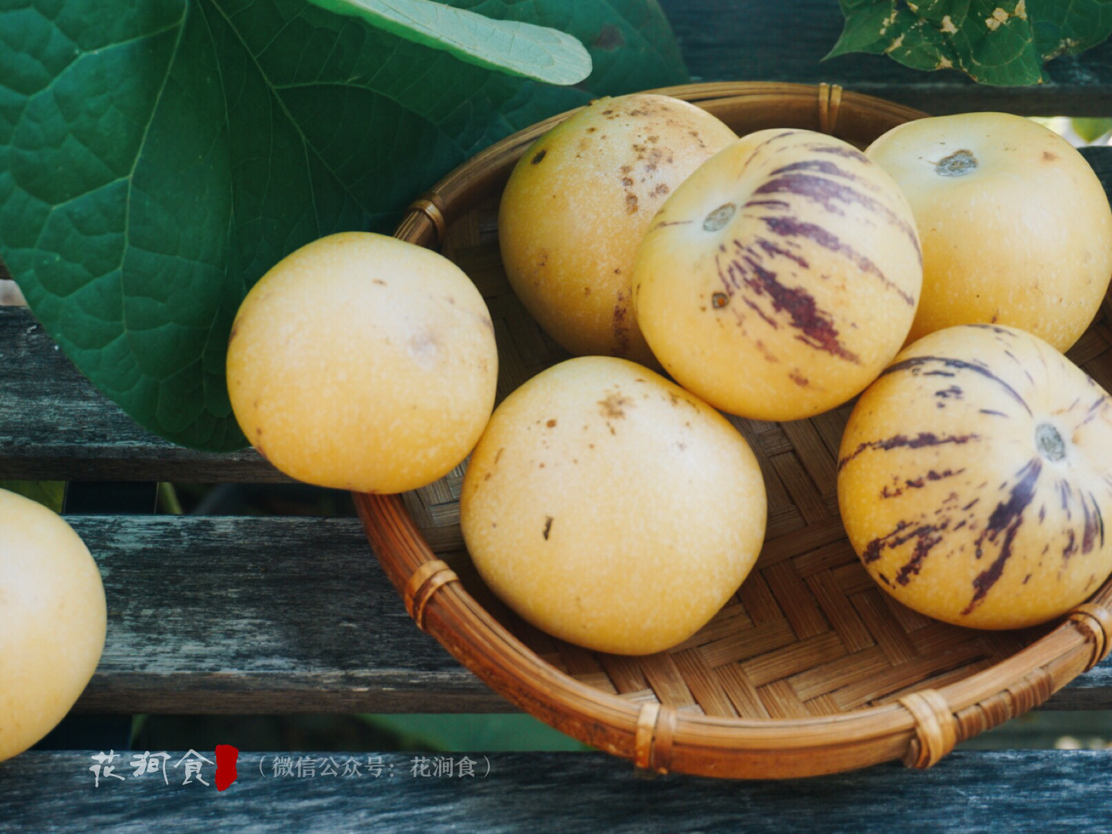 【拼团特惠】鲜果 | 云南石林圆形人参果(清甜多汁黄果肉)3斤/ 6斤
