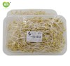 黄豆芽360g 商品缩略图2