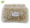 小银芽300g 商品缩略图2