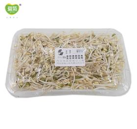 小银芽300g