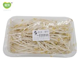 绿豆芽360g