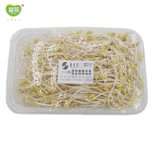 黄豆芽360g 商品图0