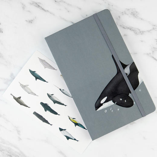 下架 鲸类主题笔记本 超科学空白纸记事本 商品图1