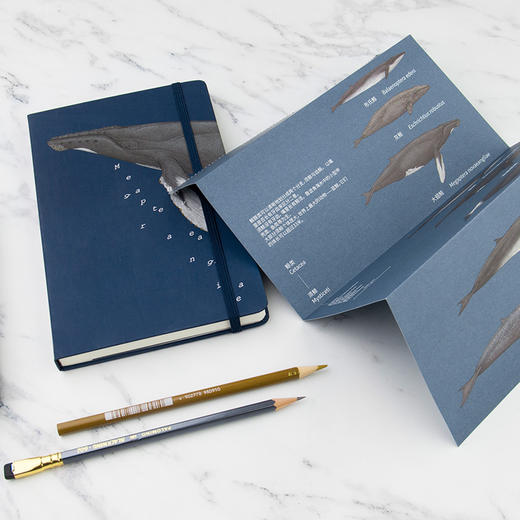 下架 鲸类主题笔记本 超科学空白纸记事本 商品图4
