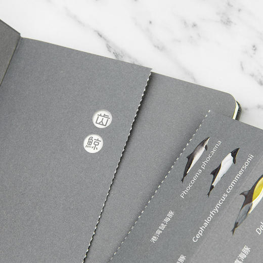 下架 鲸类主题笔记本 超科学空白纸记事本 商品图2