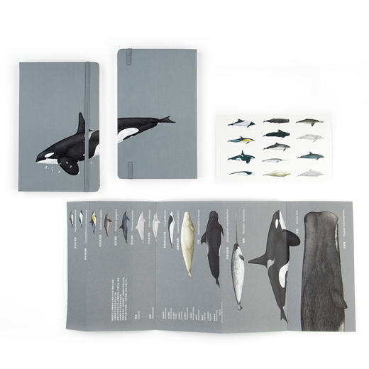 下架 鲸类主题笔记本 超科学空白纸记事本 商品图6