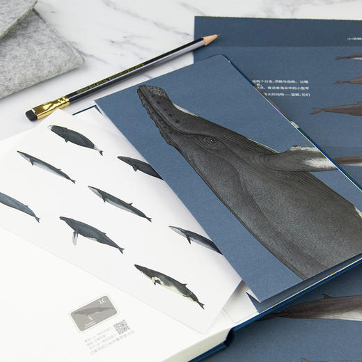 下架 鲸类主题笔记本 超科学空白纸记事本 商品图3