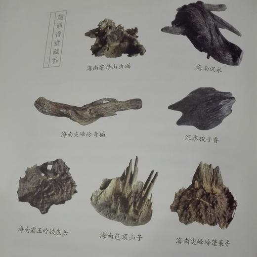 【慧通香】香学三百问 商品图3
