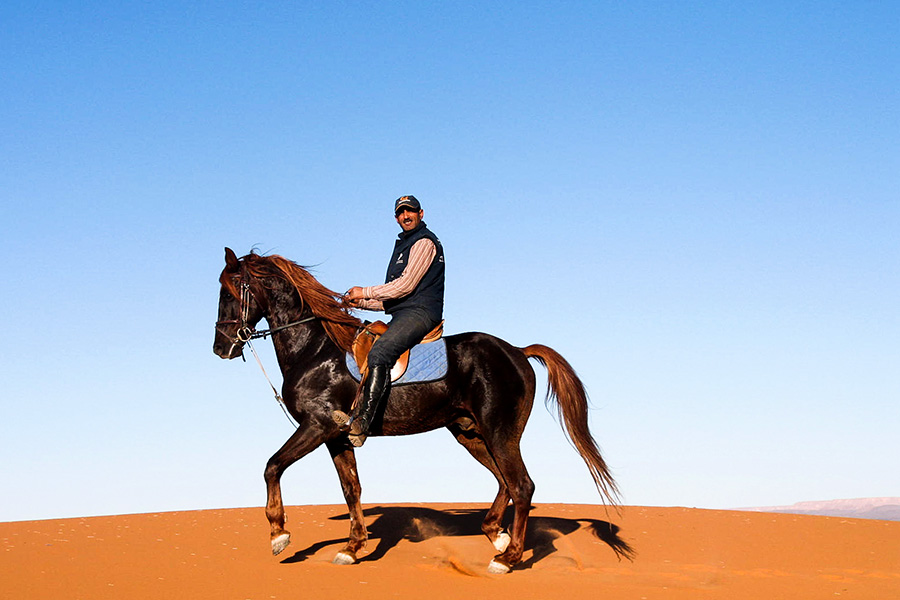 体验沙漠骑马(限2人,骑行时间为2小时)