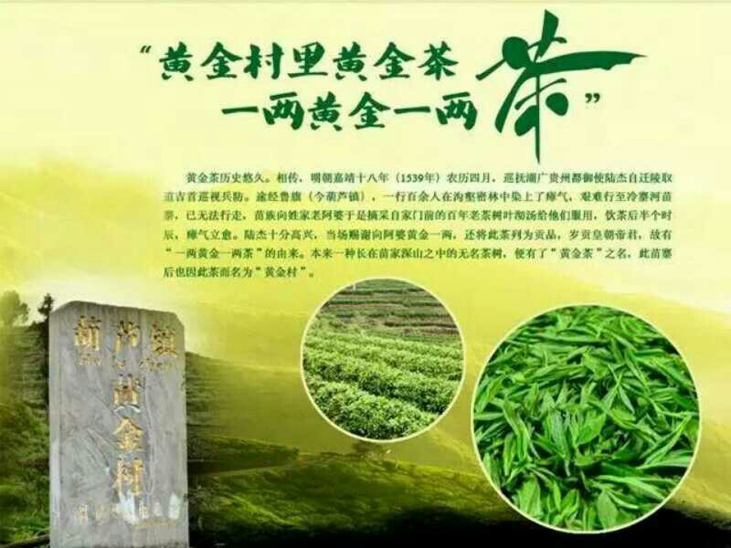 湘西:保靖黄金茶250g (袋装)