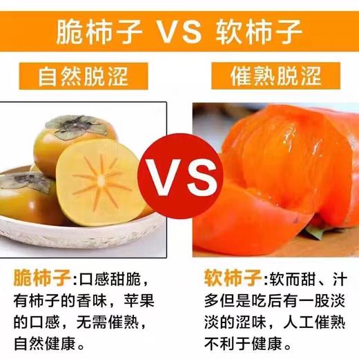 台湾富有甜脆柿——脆脆甜甜，和吃苹果一样方便 商品图3