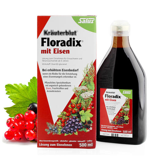 德国Floradix iron 铁元补铁补血 500ml红色 商品图0