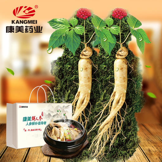 康美新鲜人参 35g*2根【佳选级】 顺丰包邮煲汤泡酒 商品图0