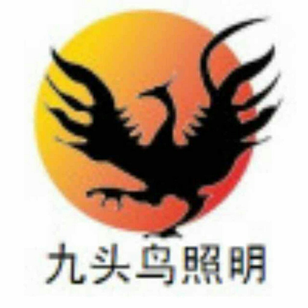 一体化长条光源模组100个/箱 九头鸟贝恩斯led灯板改造长条形 方形吸