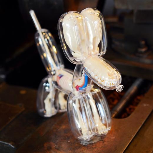 Jason Freeny 气球狗 全透视解剖骨骼内脏 可拆卸 公仔手办 商品图7