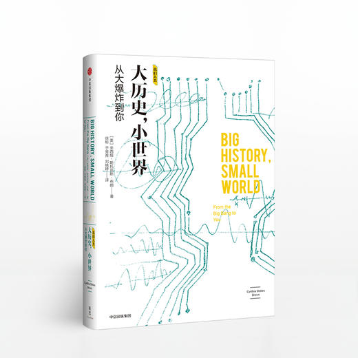 我们人类套装4册：我们人类的宇宙+我们人类的基因+我们人类的进化+大历史，小世界 商品图4