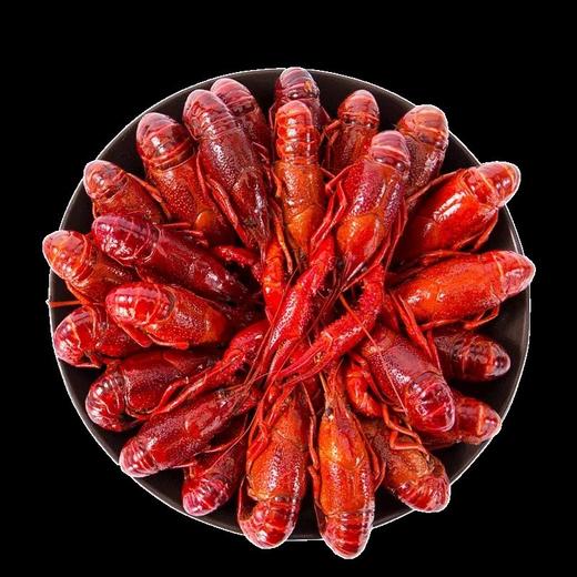 德焱调理小龙虾麻辣味麻辣味900g/盒 商品图2