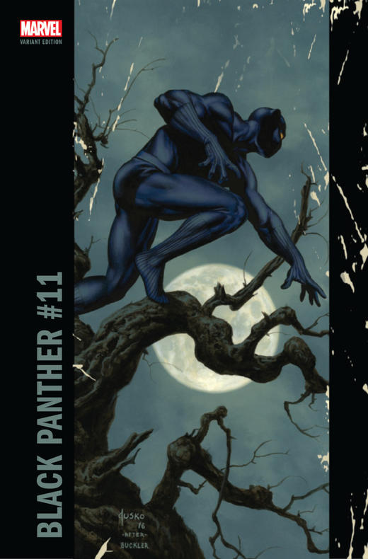 黑豹 主刊 Black Panther v6（2016）变体 商品图4