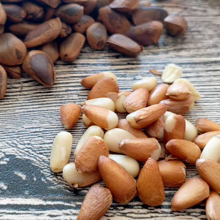 大兴安岭野生红松子 笨炒松子 松子炒货 零食坚果开口