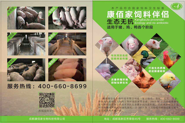 【饲料伴侣】专业的发酵饲料核心菌种料,减少猪场氨气