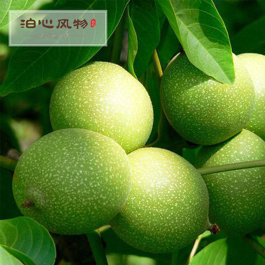 漾濞核桃·泊心风物 商品图1