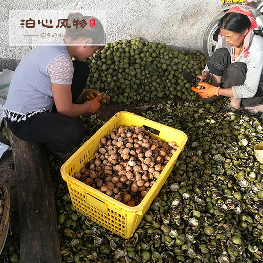 漾濞核桃·泊心风物 商品图3