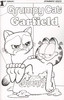 不爽猫/加菲猫 Grumpy Cat Garfield（2017） 商品缩略图9