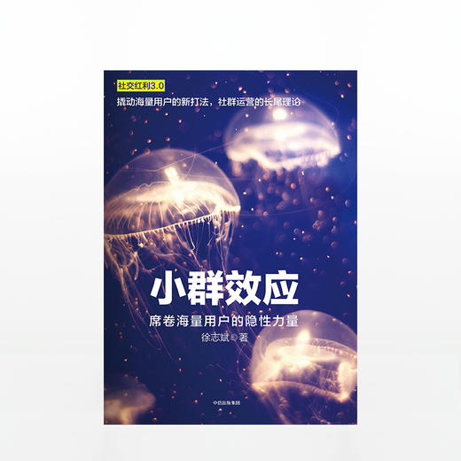 小群效应：席卷海量用户的隐性力量 徐志斌 著 商品图1